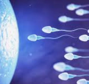 phone sex bbc sperm selection cuckold phone sex